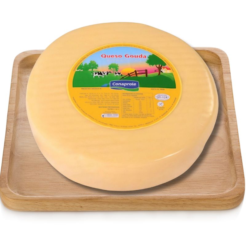 Diseño sin título (30) Queso Gouda - Imagen 1